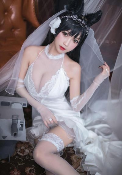 永夜星河电视剧全集免费观看