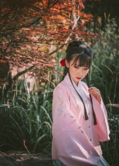 僧侣在线观看