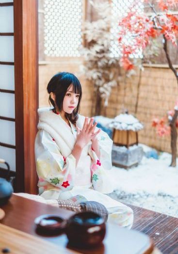 雪鹰领主在线观看全集免费播放