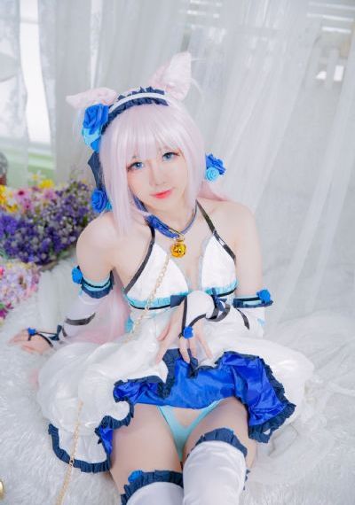 绝望主妇第八季在线观看电视剧